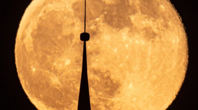 Grenzenloses Universum bei der langen Nacht der Bibliotheken