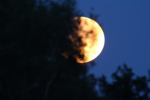 Der Mond befand sich bereits im Halbschatten der Erde, als er hinter den Bäumen am Horizont hervorkam.